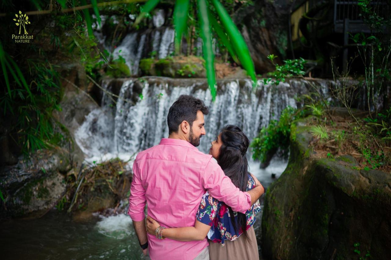Parakkat Nature Resort Munnar Eksteriør billede
